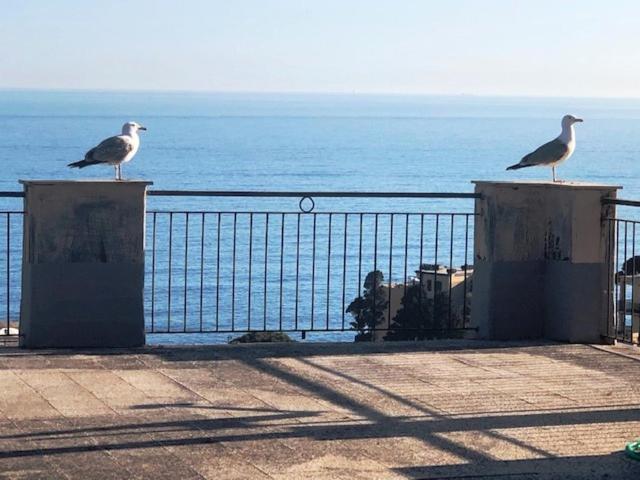 ג'נובה Romantic Garden Sea View Nervi מראה חיצוני תמונה